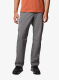 Turistinės kelnės Columbia Silver Ridge Utility Pant Short - city grey