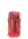 Moteriška kuprinė Deuter Futura 24 SL - caspia/currant