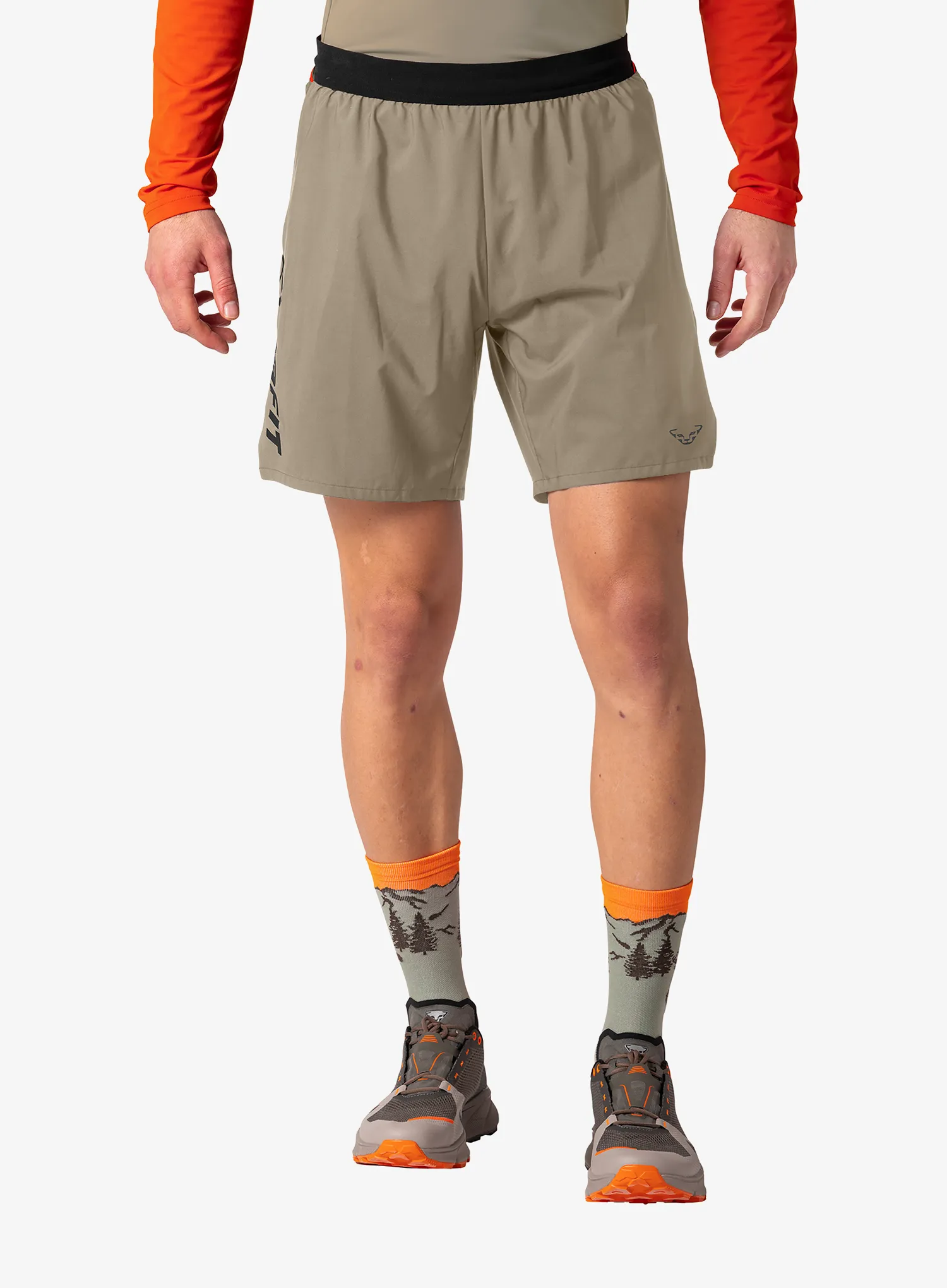 qweDynafitAlpinePro21Shortsfallenrock4053866797191a.webp