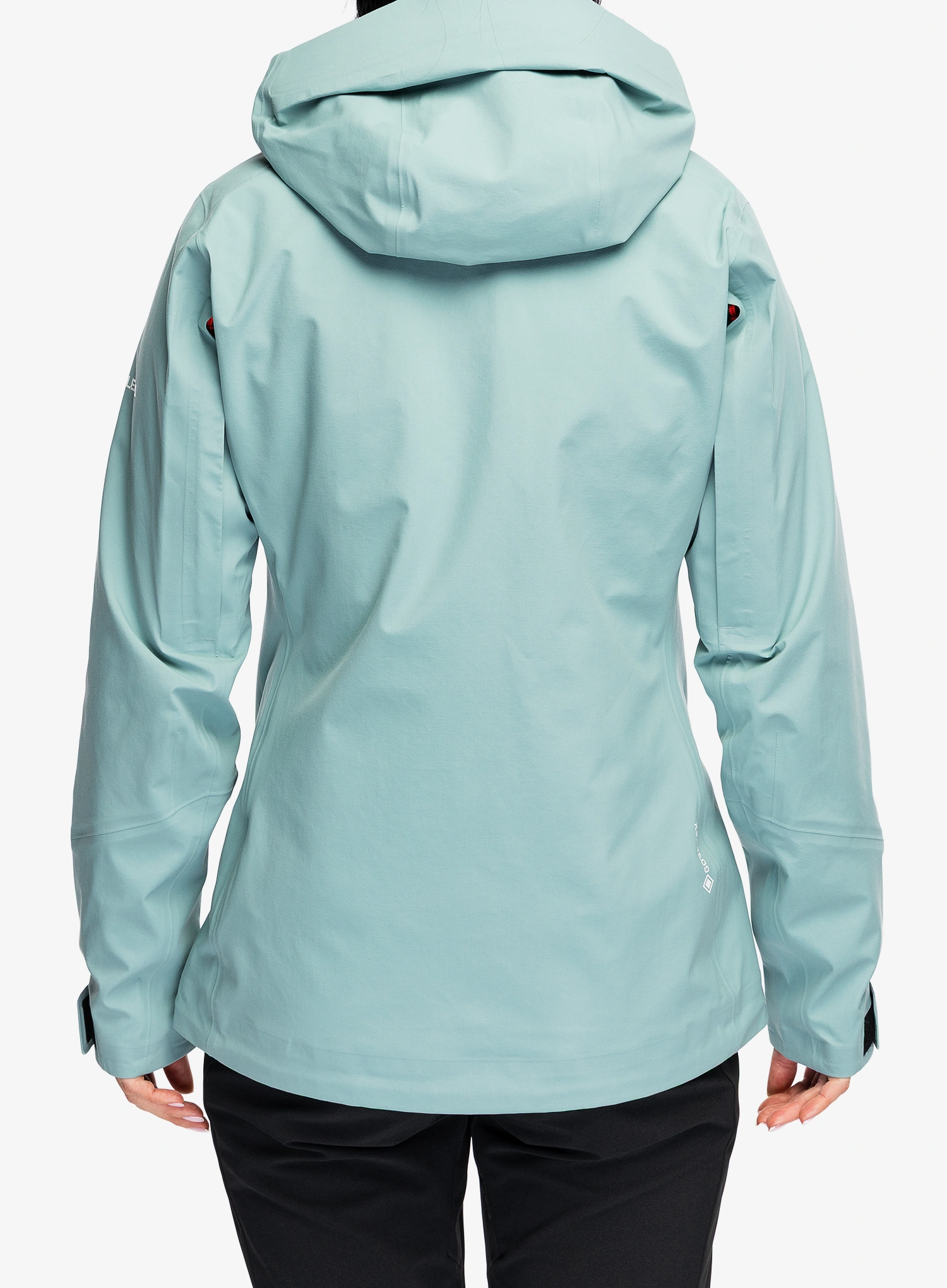 Striukė nuo lietaus moterims Salewa Ortles GTX 3L Epe Jkt - willow