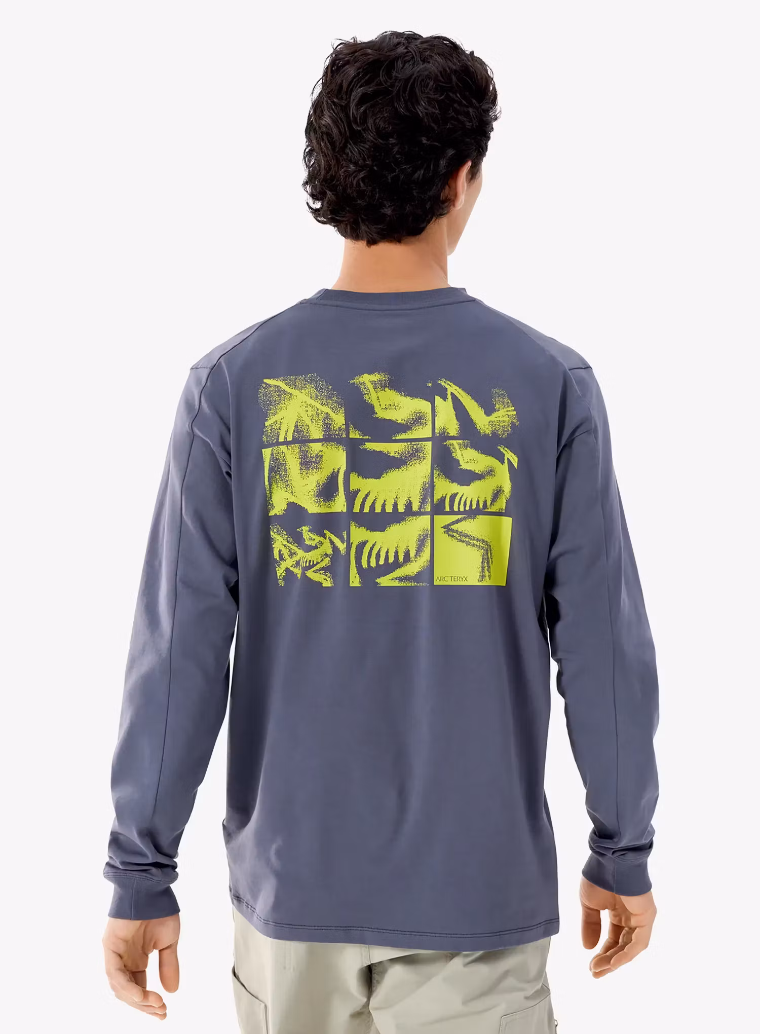 Džemperis Arcteryx Kragg SL Cotton Bird Tile LS - dk stratus/euphoria