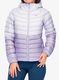 Pūkinė striukė moterims Arcteryx Cerium Hoody - velocity/light velocity