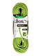 Dinaminė virvė Beal Virus 10 mm 60m - solid green
