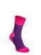 Moteriškos žygio kojinės Bridgedale Explorer Heavyweight Merino Comfort Boot - purple marl