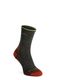 Moteriškos kojinės Darn Tough Hiker Micro Crew Midweight with Cushion - forest