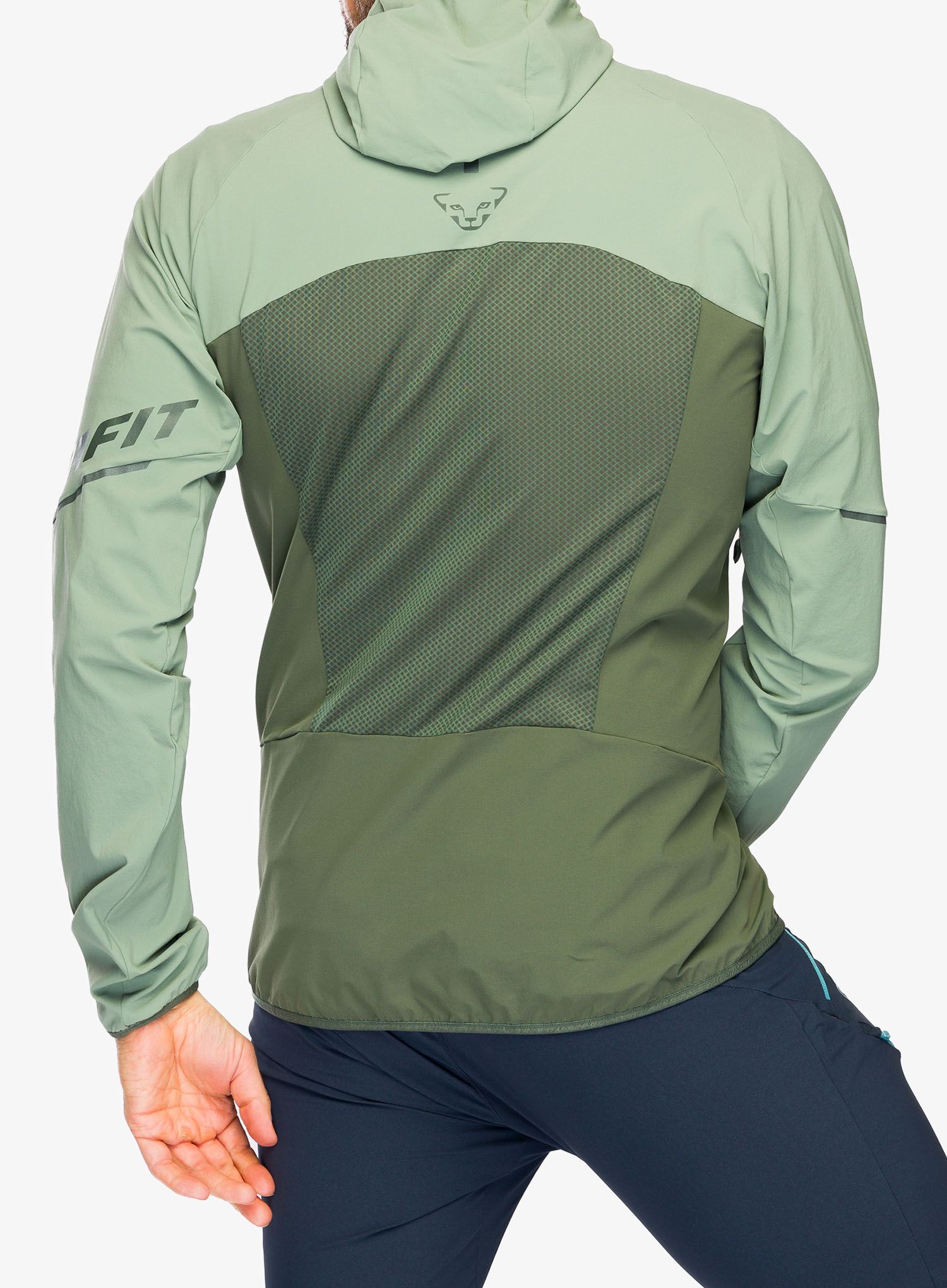 Softshell striukė Dynafit Transalper DST Jacket - sage