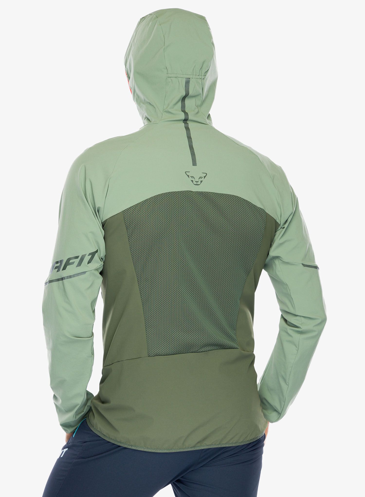 Softshell striukė Dynafit Transalper DST Jacket - sage
