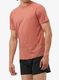 Greitai džiūstantys marškinėliai Salomon Cross Run S/S Tee - light mahogany