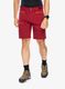 Vyriški šortai Norrona Falketind Flex1 Shorts - rhubarb