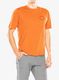 Spauda ant marškinėlių Patagonia Cap Cool Daily Graphic Shirt Lands - spoke stencil redtail rust