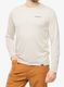 Džemperis Patagonia L/S Cap Cool Daily Graphic Shirt Waters - fitz roy/pumice