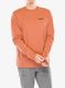 Džemperis Patagonia L/S P-6 Logo Responsibili-Tee - redtail rust