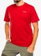 Spauda ant marškinėlių Rab Stance Mountain Peak Tee - red clay
