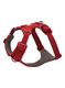 Petnešos šuniui Ruffwear Front Range Harness M - red canyon