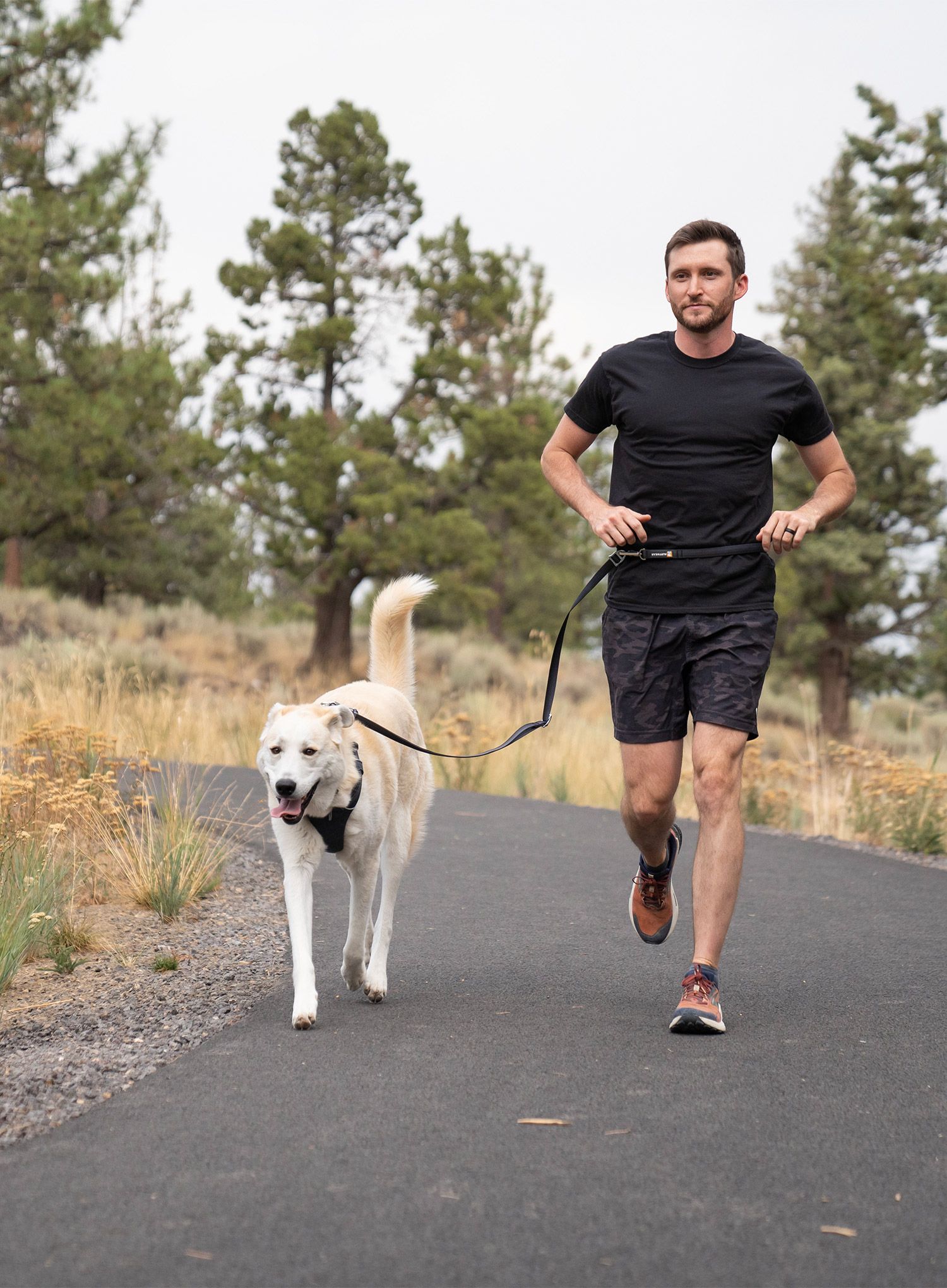 Pavadėliai šunims Ruffwear Switchbak Leash - basalt gray