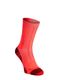 Bėgimo kojinės X-Socks Trail Run Discover Crew - fluo red/namib red