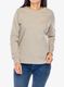 Džemperis moterims Arcteryx Kragg Cotton Bird Crew LS - rune/solaris