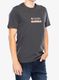 Medvilniniai marškinėliai Columbia Explorers Canyon Back S/S Tee - shark/heritage hills