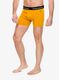 Termoaktyvūs šortukai Smartwool Merino Boxer Brief Boxed - honey gold