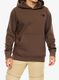 Džemperis su gobtuvu The North Face Raglan Redbox Hoodie - smokey brown