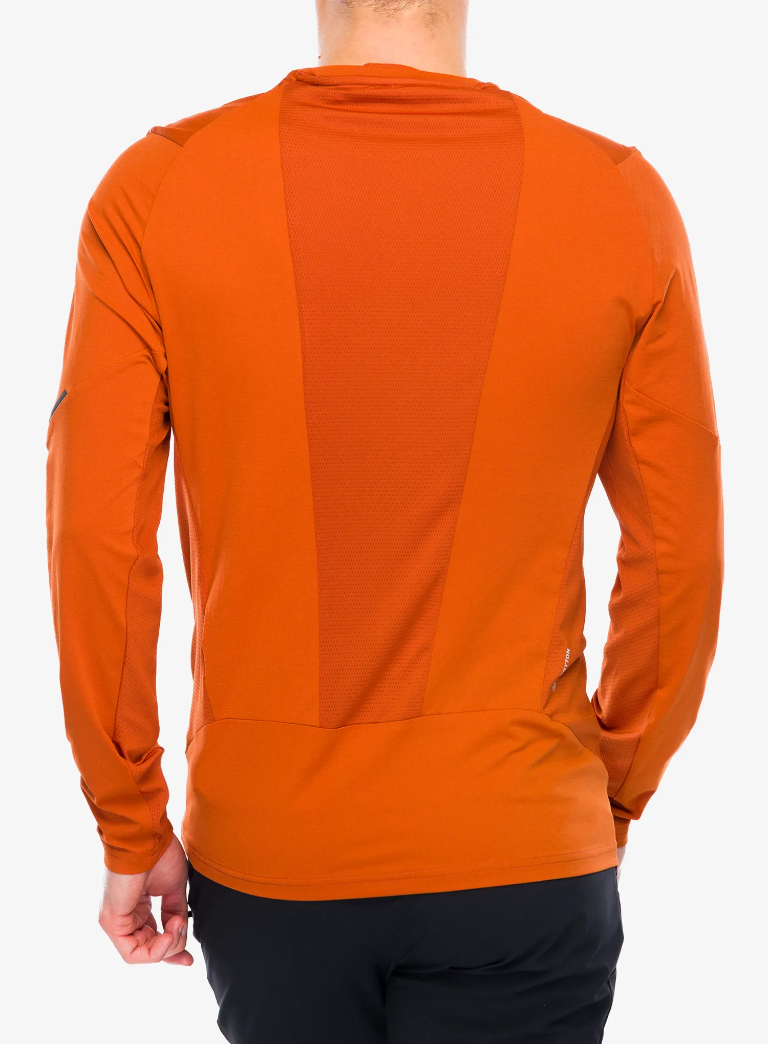 Džemperis Salewa Pedroc Dry L/S Tee - bombay brown