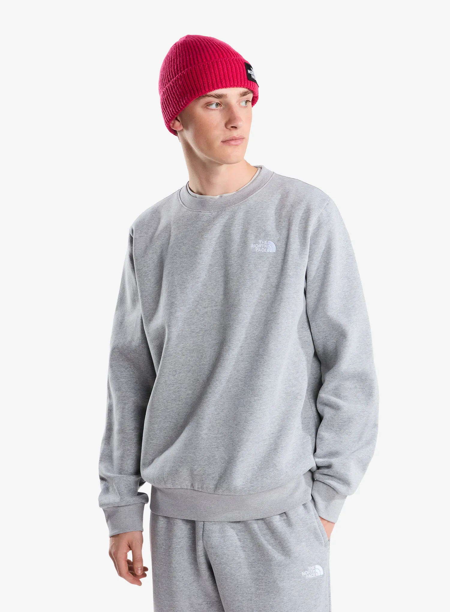 TheNorthFaceEvolutionSimpleDomeRegularCrew_palegreyheather_fw26_198266094472_1_160.webp