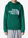 Vaikiškas džemperis The North Face Drew Peak P/O Hoodie - evergreen