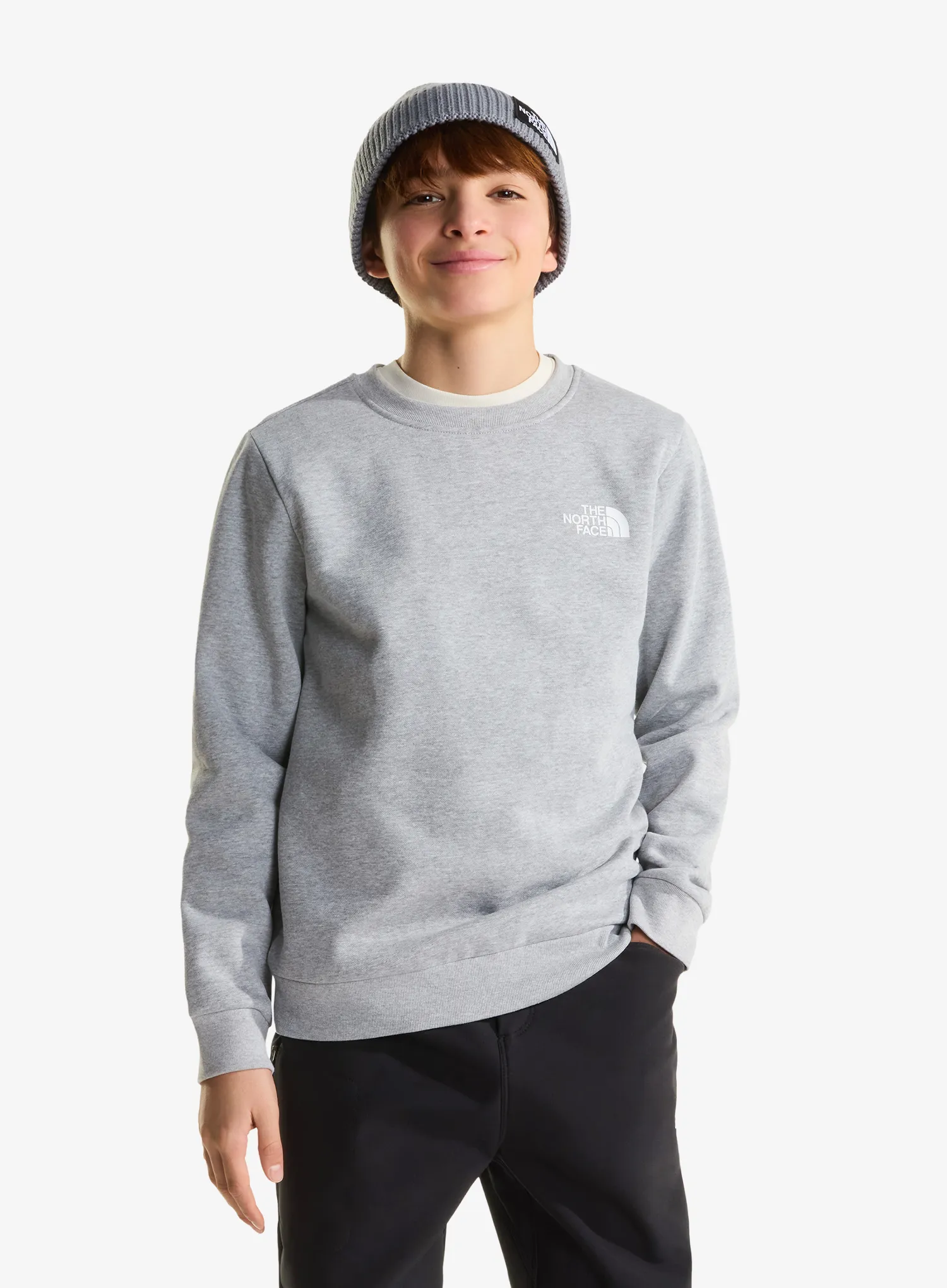 TheNorthFaceEvolutionBoxNSECrew_palegreyheather_fw26_255.webp