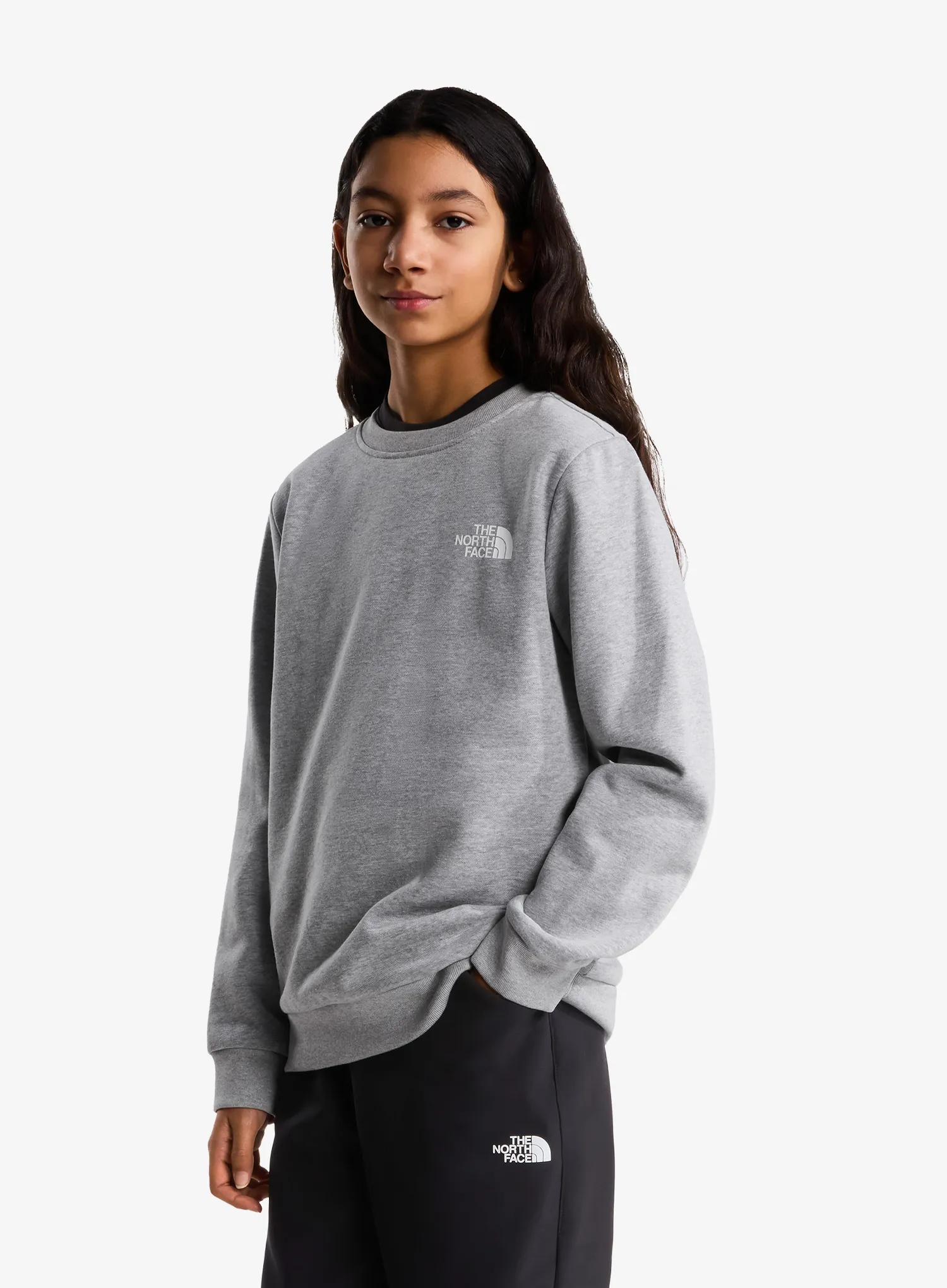 Vaikiškas džemperis The North Face Evolution Box NSE Crew - pale grey heather