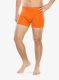 IcebreakerAnatomicaBoxers_blaz_195437905407a.webp