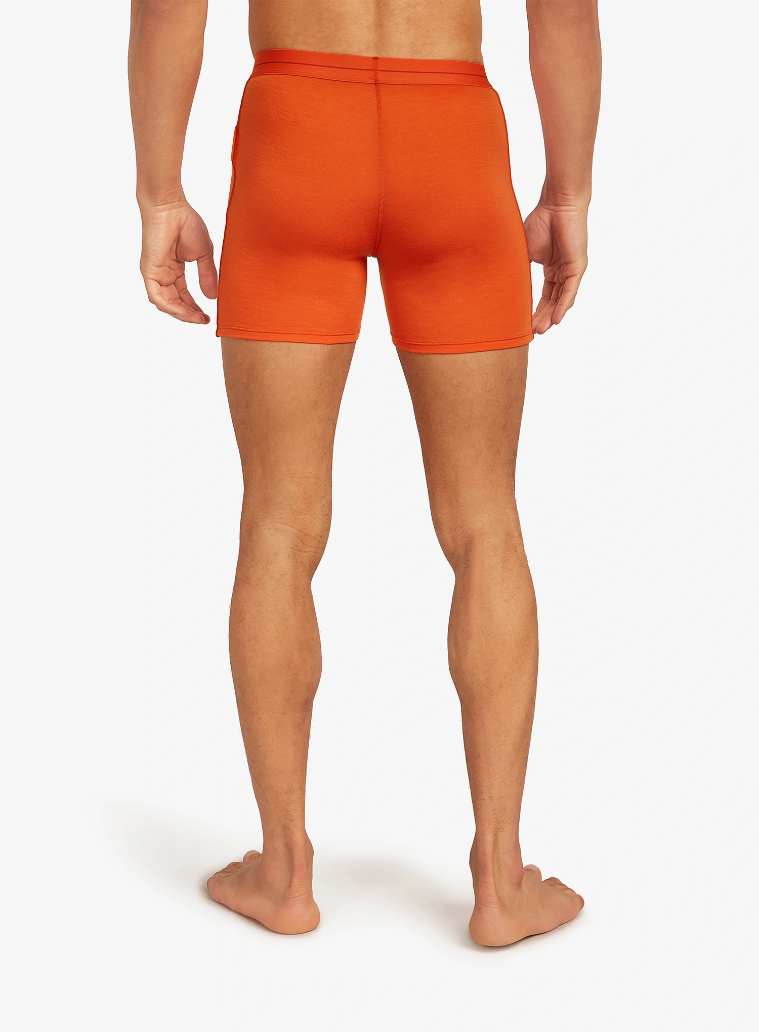 Termoaktyvūs šortukai Icebreaker Anatomica Boxers - fervid