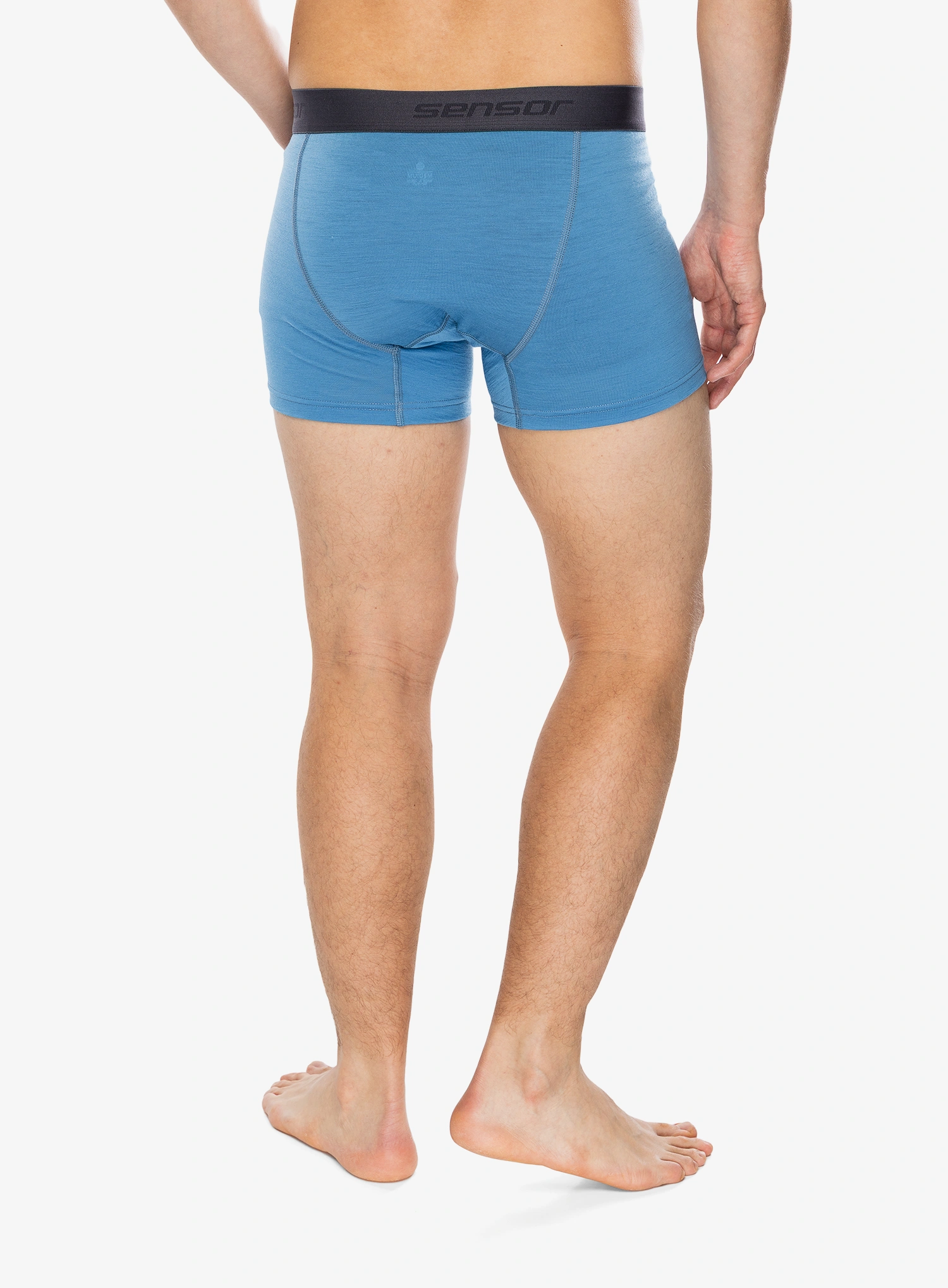Termoaktyvūs šortukai Sensor Merino Active Boxers - blue/blue