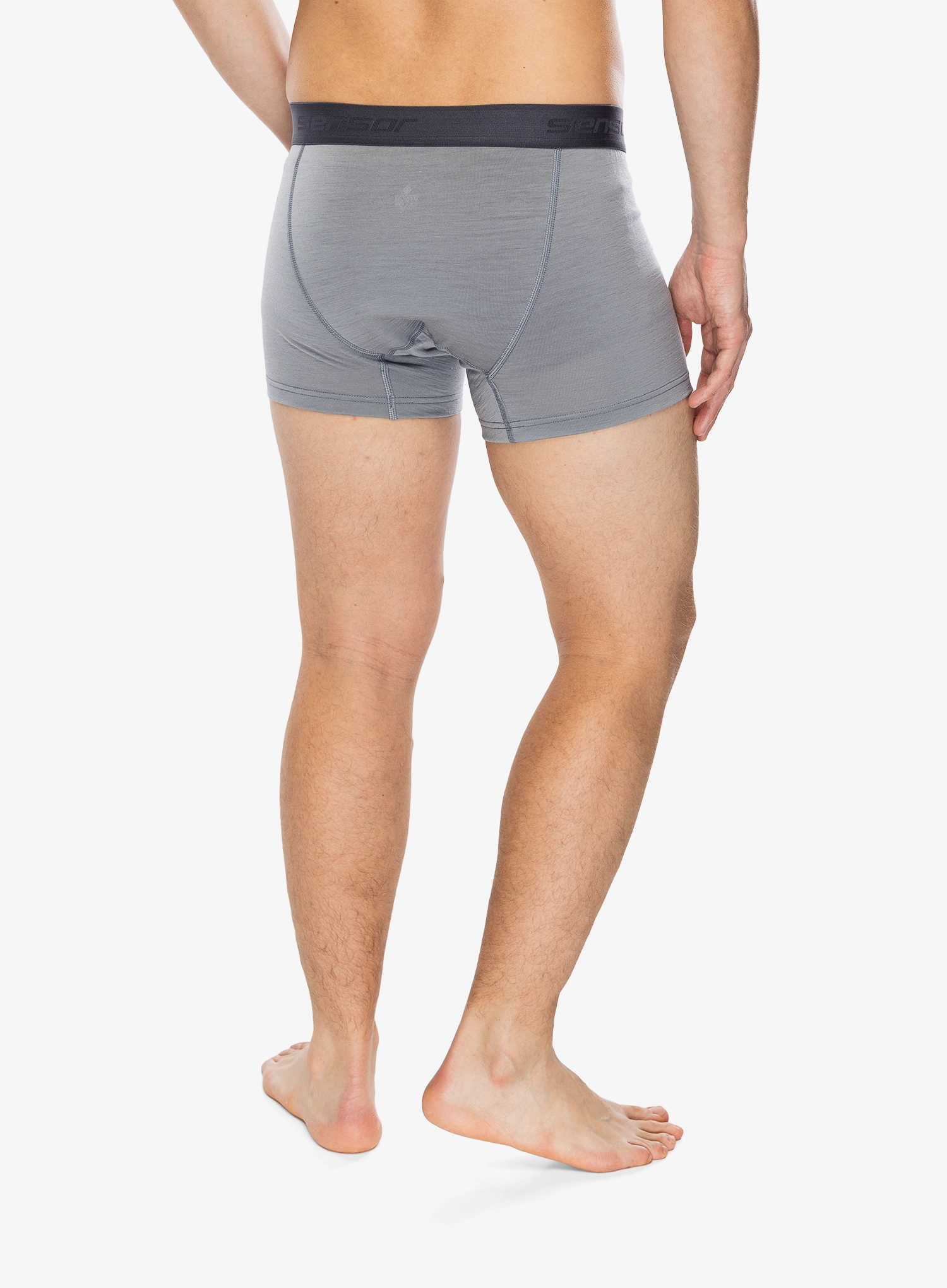 Termoaktyvūs šortukai Sensor Merino Active Boxers - grey/grey