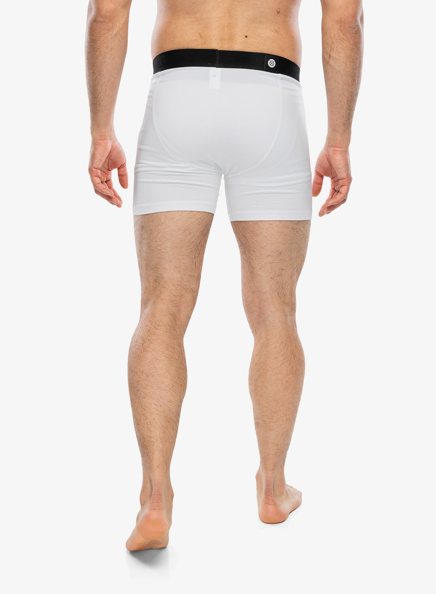 Termoaktyvūs šortukai Stance Boxer Brief 3 Pack - multi