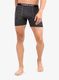 Vyriški termoaktyvūs šortukai Icebreaker ANATOMICA BOXERS - gritstone hthr