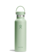 HydroFlask21OzStandardFlexCap_621ml__aloe_170.webp