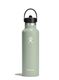 HydroFlask21OzStandardFlexStrawCap_agave_810070087265a.jpg