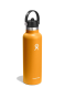 Hydro_Flask_21_oz_Standard_Flex_Straw_Cap__621_ml____fossil_810096856869b_e57f.webp