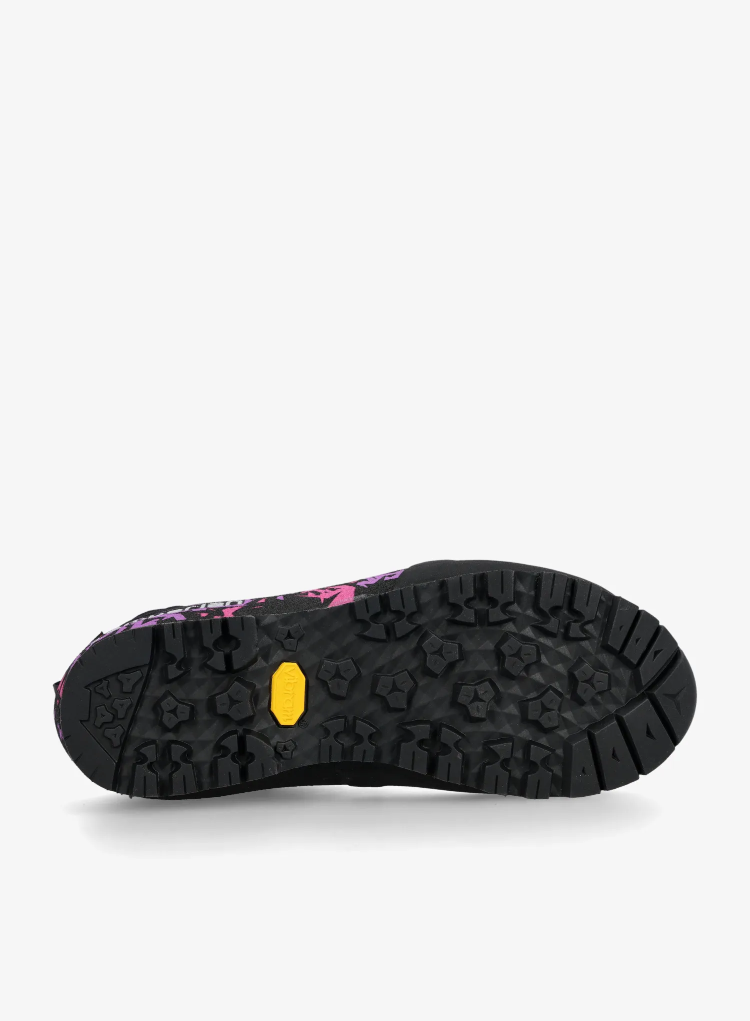Batai moteriški Zamberlan Salathe GTX RR - pink/violet