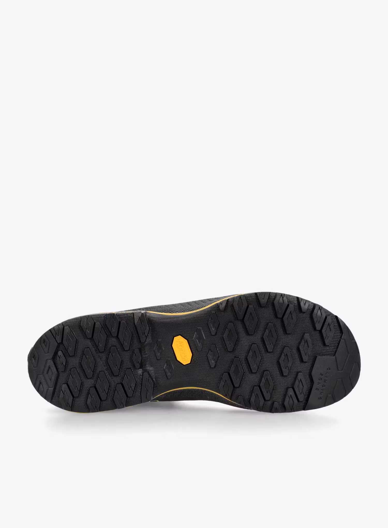 Vyriški batai La Sportiva TX4 Evo Mid GTX - carbon/bamboo