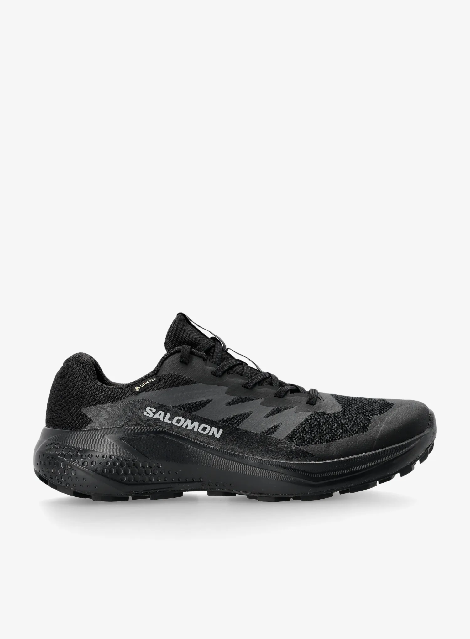 SalomonAlphaglideGTX_blackasphaltblack_195751906227a.webp