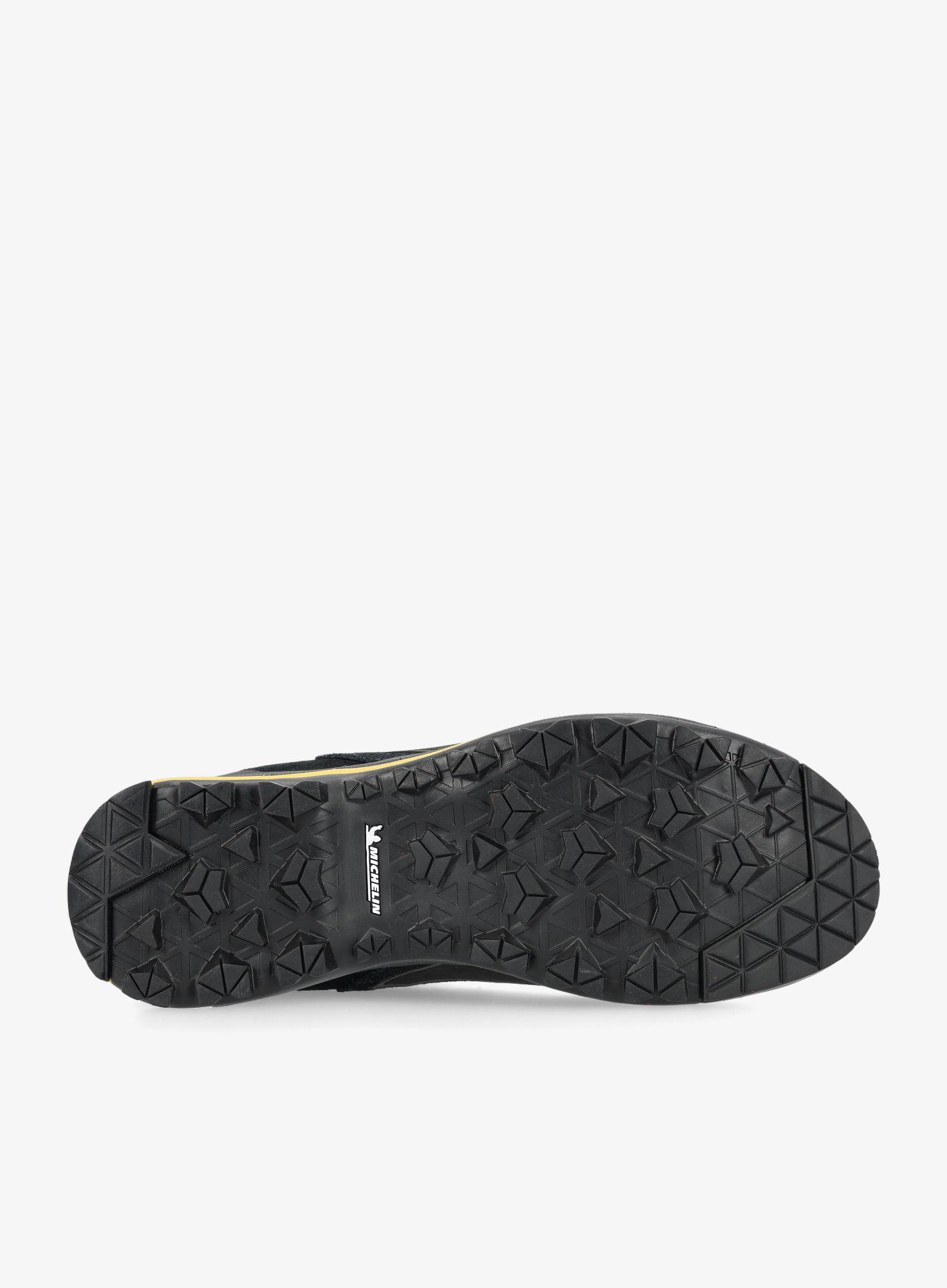 Žygio batai Garmont Vetta TECH GTX - black