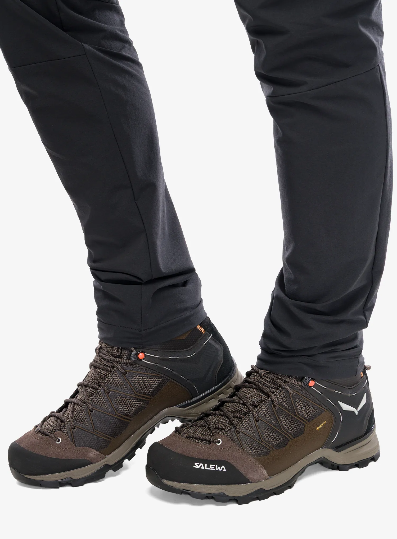 Žygio batai Salewa Mountain Trainer Lite Mid GTX - bungee cord/black