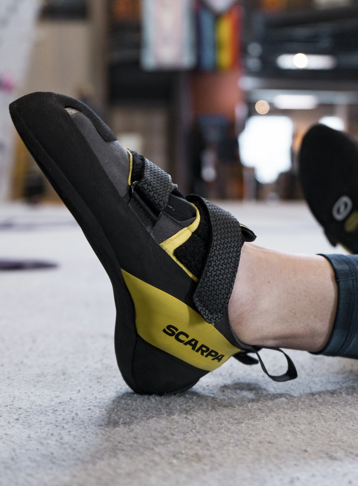 Laipiojimo bateliai Scarpa Arpia V - shark/yellow