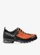 Žygio batai Salewa Mountain Trainer 2 GTX - autumnal/black