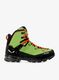 Žygio batai Salewa MTN Trainer 2 Mid GTX - pale frog/black