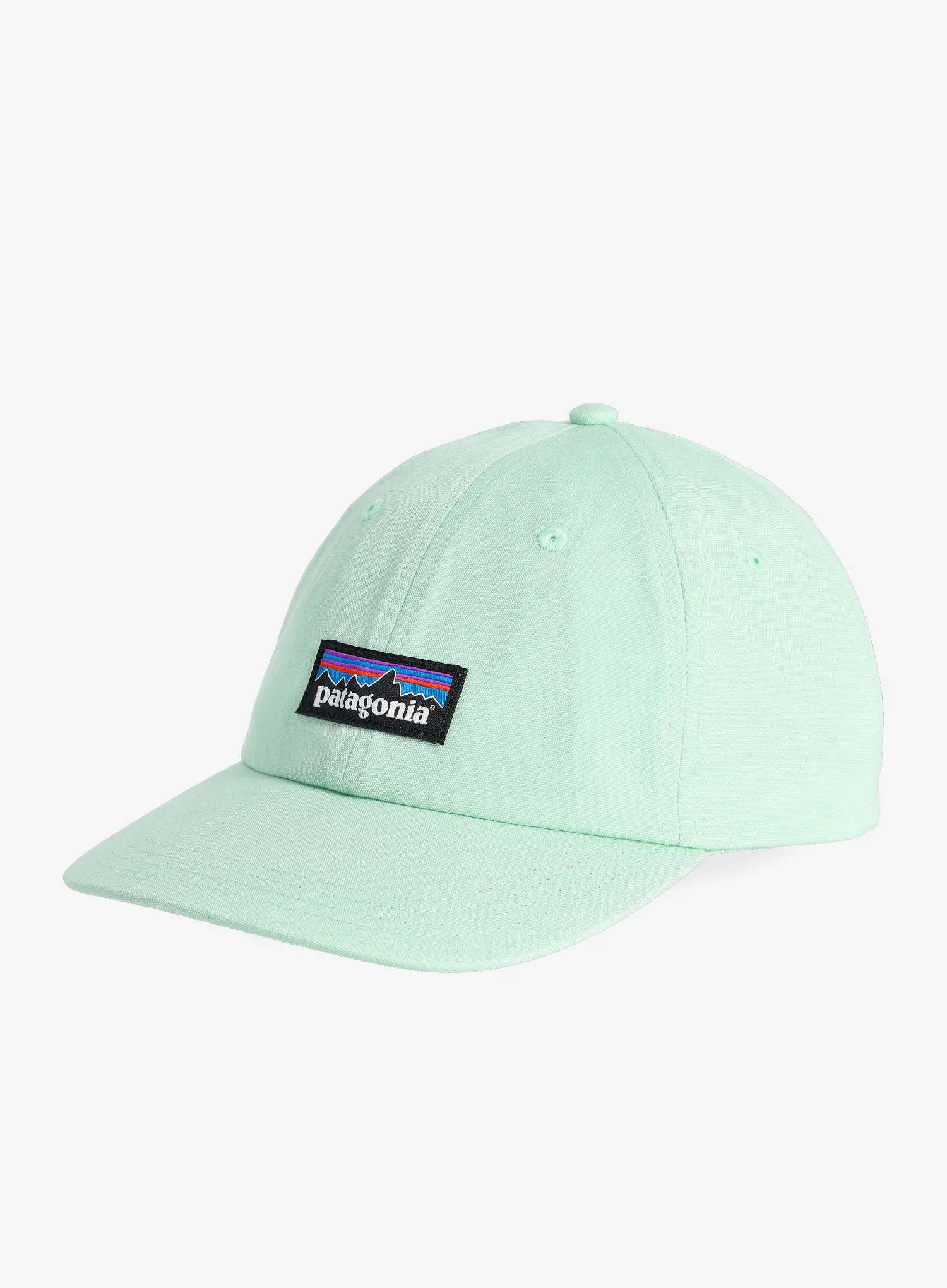 Kepurė Patagonia P-6 Label Trad Cap - rinsed green