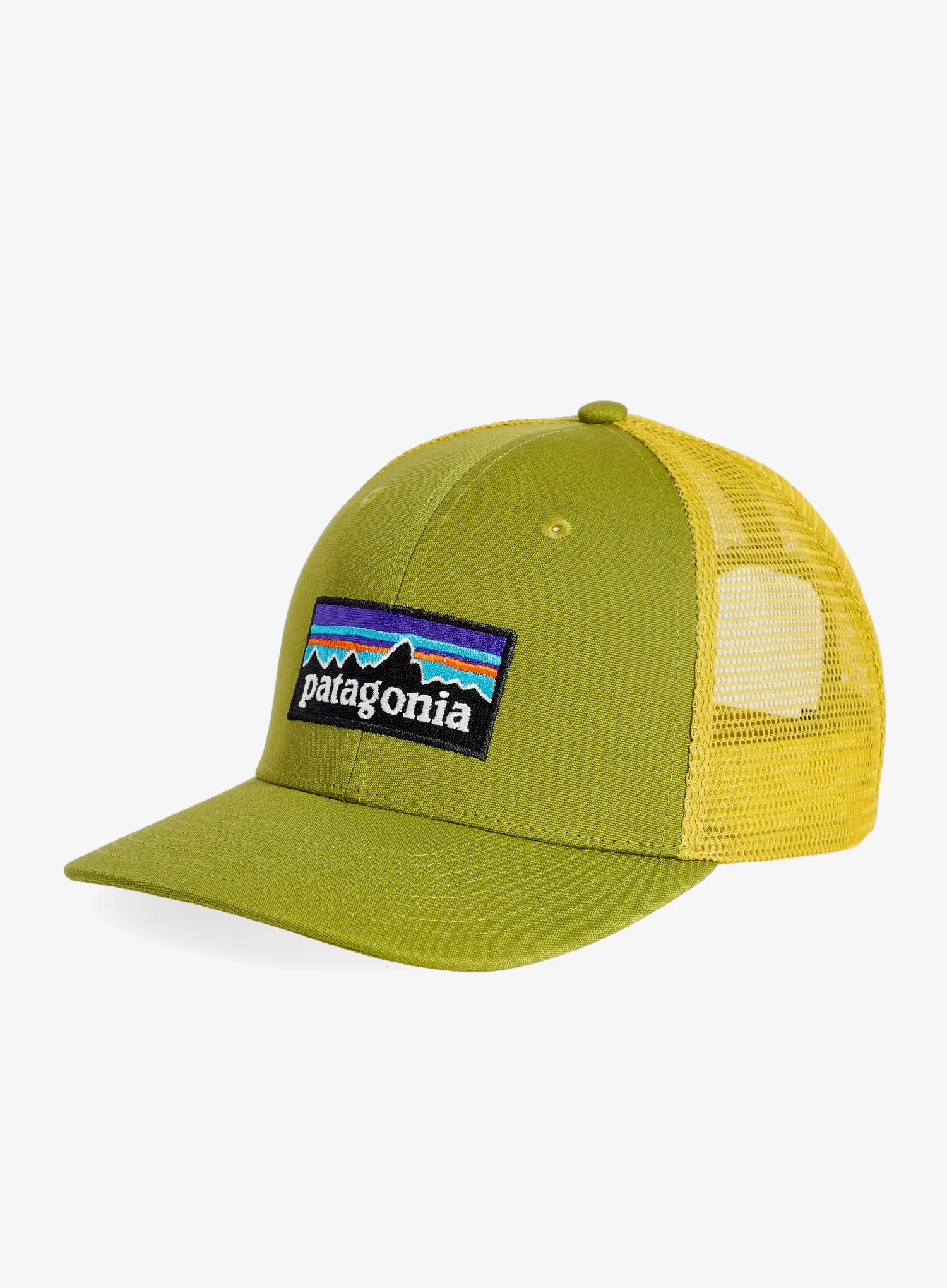 Kepurė Patagonia P-6 Logo Trucker Hat - graze green