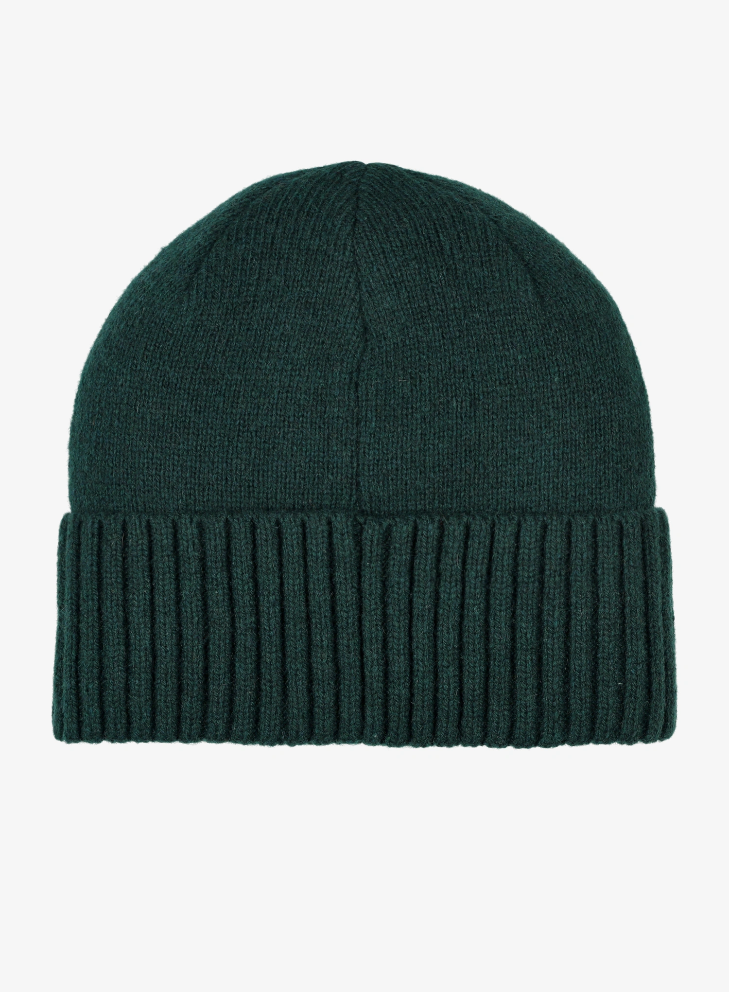 Žieminė kepurė Patagonia Brodeo Beanie - cascade green