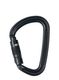 Karabinas Climbing Technology/SKYLOTEC XL-D TG - black